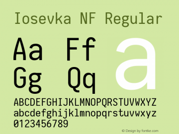 Iosevka Term Nerd Font Complete Windows Compatible 1.14.0; ttfautohint (v1.7.9-c794) Font Sample