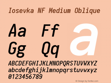 Iosevka Term Medium Oblique Nerd Font Complete Windows Compatible 1.14.0; ttfautohint (v1.7.9-c794)图片样张