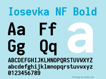 Iosevka Bold Nerd Font Complete Windows Compatible 1.14.0; ttfautohint (v1.7.9-c794)图片样张