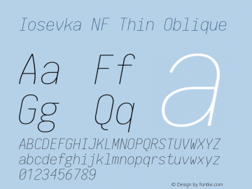 Iosevka Thin Oblique Nerd Font Complete Mono Windows Compatible 1.14.0; ttfautohint (v1.7.9-c794) Font Sample