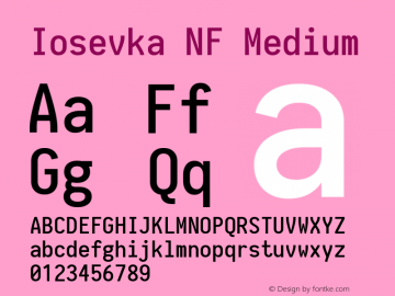 Iosevka Term Medium Nerd Font Complete Mono Windows Compatible 1.14.0; ttfautohint (v1.7.9-c794) Font Sample