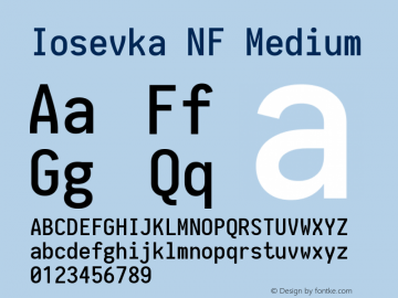Iosevka Medium Nerd Font Complete Mono Windows Compatible 1.14.0; ttfautohint (v1.7.9-c794) Font Sample