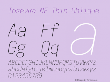 Iosevka Term Thin Oblique Nerd Font Complete Mono Windows Compatible 1.14.0; ttfautohint (v1.7.9-c794) Font Sample