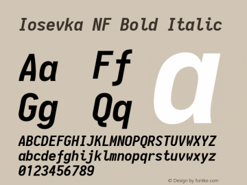 Iosevka Term Bold Italic Nerd Font Complete Mono Windows Compatible 1.14.0; ttfautohint (v1.7.9-c794)图片样张