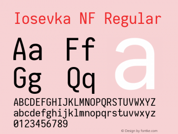 Iosevka Term Nerd Font Complete Mono Windows Compatible 1.14.0; ttfautohint (v1.7.9-c794) Font Sample