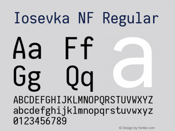 Iosevka Nerd Font Complete Mono Windows Compatible 1.14.0; ttfautohint (v1.7.9-c794)图片样张
