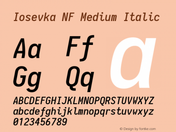 Iosevka Medium Italic Nerd Font Complete Windows Compatible 1.14.0; ttfautohint (v1.7.9-c794)图片样张