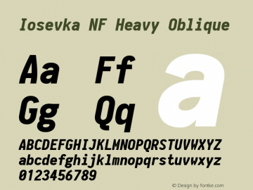 Iosevka Heavy Oblique Nerd Font Complete Windows Compatible 1.14.0; ttfautohint (v1.7.9-c794)图片样张