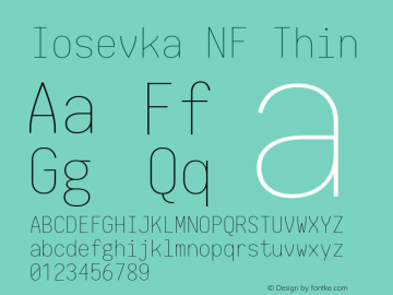 Iosevka Term Thin Nerd Font Complete Windows Compatible 1.14.0; ttfautohint (v1.7.9-c794) Font Sample