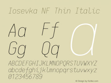 Iosevka Term Thin Italic Nerd Font Complete Windows Compatible 1.14.0; ttfautohint (v1.7.9-c794)图片样张