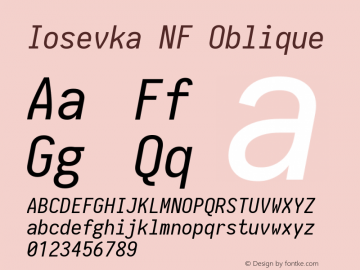 Iosevka Term Oblique Nerd Font Complete Windows Compatible 1.14.0; ttfautohint (v1.7.9-c794) Font Sample