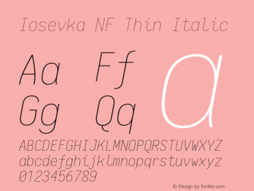 Iosevka Thin Italic Nerd Font Complete Windows Compatible 1.14.0; ttfautohint (v1.7.9-c794) Font Sample