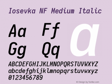 Iosevka Medium Italic Nerd Font Complete Mono Windows Compatible 1.14.0; ttfautohint (v1.7.9-c794) Font Sample