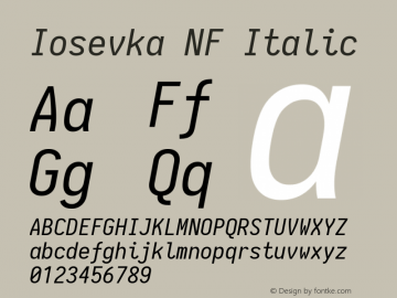 Iosevka Italic Nerd Font Complete Mono Windows Compatible 1.14.0; ttfautohint (v1.7.9-c794) Font Sample