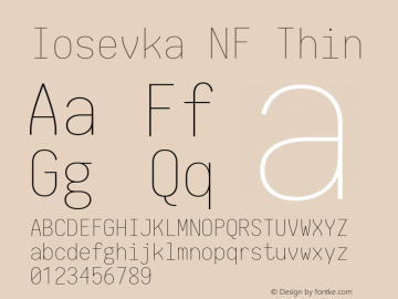 Iosevka Term Thin Nerd Font Complete Mono Windows Compatible 1.14.0; ttfautohint (v1.7.9-c794)图片样张