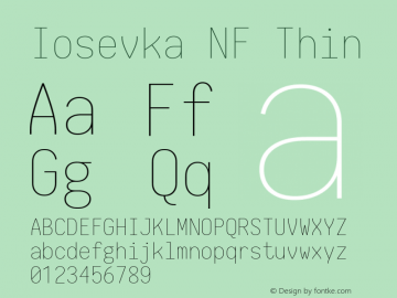 Iosevka Thin Nerd Font Complete Windows Compatible 1.14.0; ttfautohint (v1.7.9-c794) Font Sample