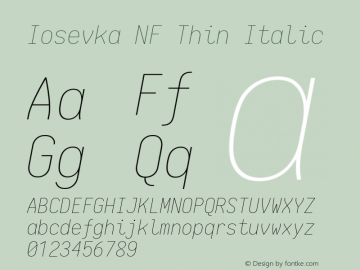 Iosevka Thin Italic Nerd Font Complete Mono Windows Compatible 1.14.0; ttfautohint (v1.7.9-c794)图片样张