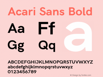 Acari Sans Bold Version 1.045;January 11, 2019;FontCreator 11.5.0.2425 64-bit图片样张