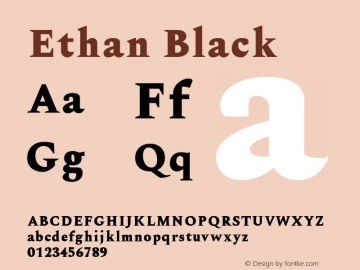 Ethan-Black 0.1.0图片样张