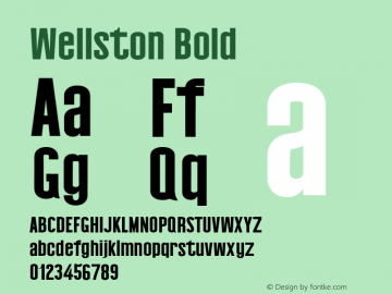 Wellston-Bold 0.1.0图片样张