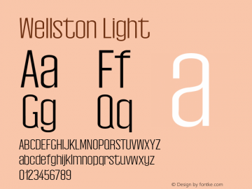 Wellston Light 0.1.0图片样张