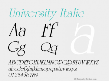 University Italic Weatherly Systems, Inc.  6/15/95图片样张