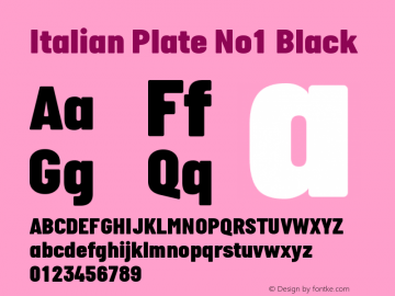 ItalianPlateNoOne-Blk Version 1.000图片样张