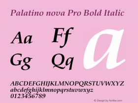 PalatinoNovaPro-BoldItalic Version 1.000;PS 001.000;hotconv 1.0.38 Font Sample