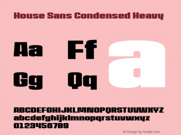 House Sans Condensed Heavy Version 1.000;PS 001.000;hotconv 1.0.88;makeotf.lib2.5.64775;YWFTv17 Font Sample