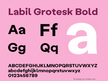 Labil Grotesk Bold Version 1.003 Font Sample