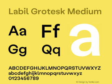 Labil Grotesk Medium Version 1.003 Font Sample