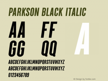 Parkson-BlackItalic Version 1.000;PS 001.000;hotconv 1.0.88;makeotf.lib2.5.64775图片样张