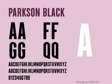 Parkson-Black Version 1.000;PS 001.000;hotconv 1.0.88;makeotf.lib2.5.64775图片样张