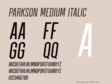 Parkson-MediumItalic Version 1.000;PS 001.000;hotconv 1.0.88;makeotf.lib2.5.64775图片样张