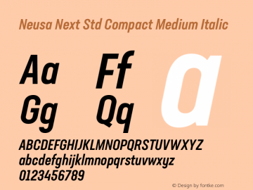 Neusa Next Std Compact Med Ita Version 1.002;PS 001.002;hotconv 1.0.88;makeotf.lib2.5.64775 Font Sample