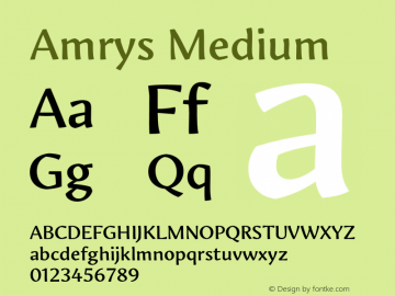 Amrys Medium Version 1.00, build 20, g2.5.2.1158, s3 Font Sample