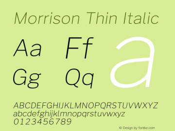 Morrison Thin Italic Version 0.018;February 2, 2019;FontCreator 11.5.0.2425 64-bit Font Sample