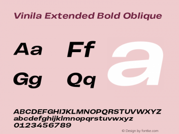 VinilaExtended-BoldObl Version 1.000 | wf-rip DC20190215 Font Sample