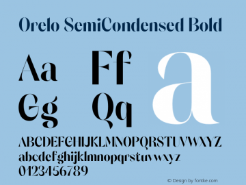 Orelo SemiCondensed Bold Version 1.000;PS 001.000;hotconv 1.0.88;makeotf.lib2.5.64775 Font Sample
