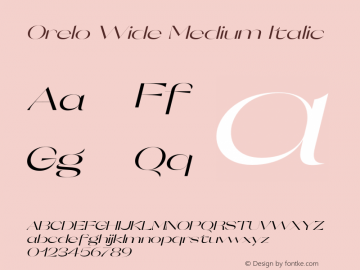 Orelo Wide Medium Italic Version 1.000;PS 001.000;hotconv 1.0.88;makeotf.lib2.5.64775 Font Sample