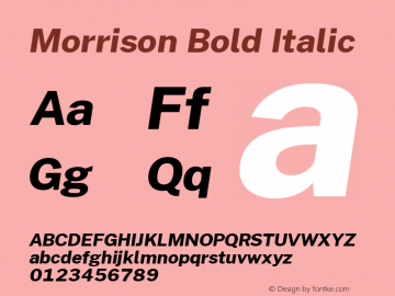 Morrison Bold Italic Version 0.03;March 5, 2019;FontCreator 11.5.0.2425 64-bit Font Sample