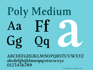 Poly-Medium Version 1.001;PS 001.001;hotconv 1.0.88;makeotf.lib2.5.64775 Font Sample