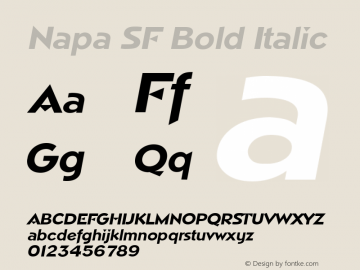 Napa SF Bold Italic Altsys Fontographer 3.5  17.05.1994图片样张