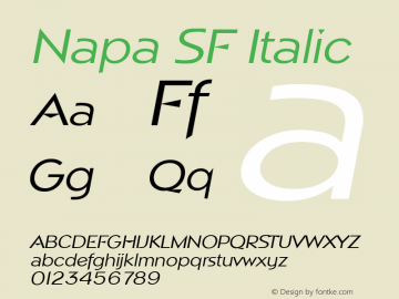 Napa SF Italic Altsys Fontographer 3.5  17.05.1994图片样张