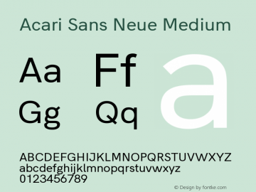 Acari Sans Neue Medium Version 1.045;PS 001.045;hotconv 1.0.88;makeotf.lib2.5.64775; ttfautohint (v1.6)图片样张