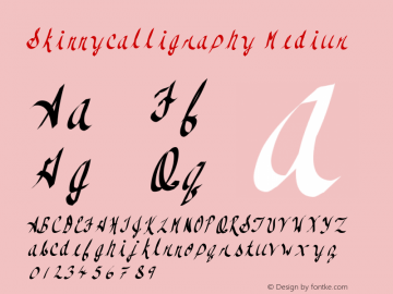 Skinnycalligraphy Medium Version 001.000 Font Sample