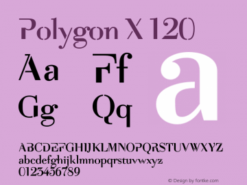 PolygonX-120 Version 2.010;PS 002.010;hotconv 1.0.88;makeotf.lib2.5.64775图片样张