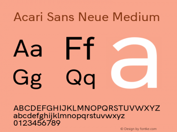 Acari Sans Neue Medium Version 1.045;PS 001.045;hotconv 1.0.88;makeotf.lib2.5.64775; ttfautohint (v1.8.2)图片样张