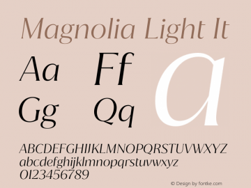 Magnolia Light It Version 1.001;PS 001.001;hotconv 1.0.88;makeotf.lib2.5.64775 Font Sample