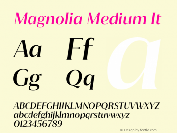 Magnolia Medium It Version 1.001;PS 001.001;hotconv 1.0.88;makeotf.lib2.5.64775 Font Sample